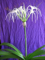 IMG_5694.webp