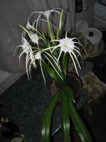 IMG_5708.webp