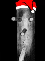  дед мороз.webp