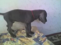 07-09-10_0754.webp