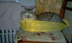 IMAG0418.webp