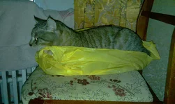 IMAG0416.webp