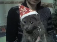 24-12-10_1845.webp
