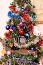 DSC00035.webp