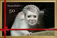 .webp