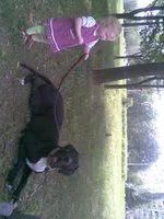 389.webp