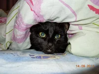DSCN9093.jpg