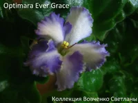 IMG_5912 [1600x1200].webp