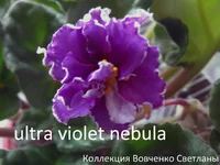 IMG_5919 [1600x1200].webp