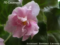 -Сашенька [1600x1200].webp