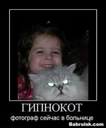 .webp