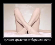 bjdjgd.webp