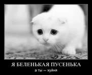 hhjhgg.webp