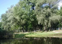 P1010004.jpg