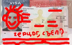 visa1.png