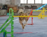 002.webp