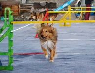 003.webp