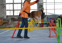 004.webp