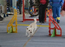 024.webp