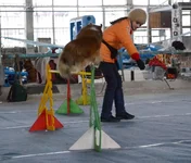 036.webp