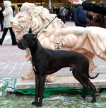 Misterio_17mes_f1.webp