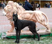 Misterio_17mes_f2.webp