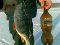 07012011.webp