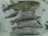 10012011(001).webp