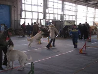 IMG_1696.webp