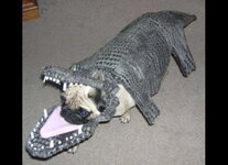 halloween-costumes6.jpg