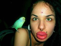tumblr_mlrbvhaiI01r3jw34o1_500.jpg