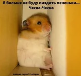 4c38d6a1e2a1634354a3c69f40fc9a91.jpg