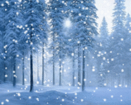 7934e7091aac97404aefd09773632b0b.gif