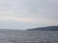 PUKDw.webp