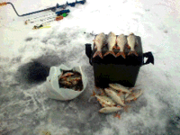 Фото0524.gif