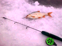 Фото0521.gif