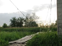 Picture 168.jpg