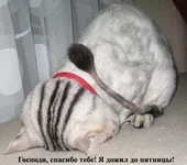 1161336697.webp