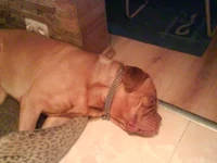 DSC03043.webp