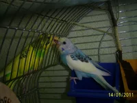 PIC_0799.webp