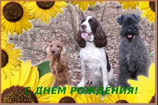  днем рождения Варя.webp