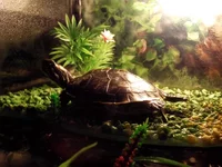 DSCF3072.webp