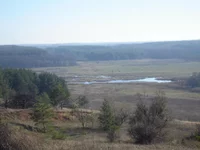 image-0000-report1461-22.webp
