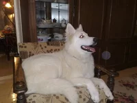 02012011274.webp