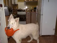 02012011254.webp