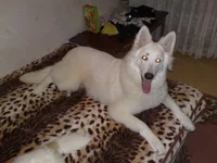 02012011264.webp