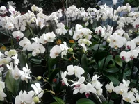 0754.webp