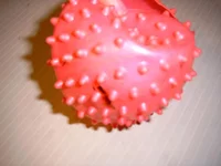 SIMG0012.webp