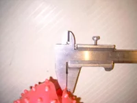 SIMG0013.webp