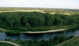 C~000010.jpg
